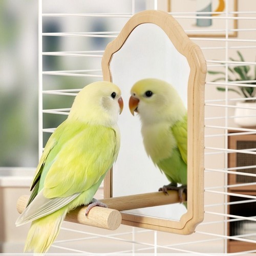 Wooden bird mirror perch - wooden,