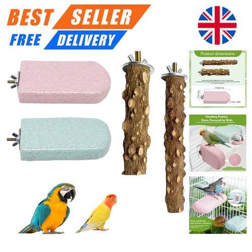 Pcs parrot perch teeth - 4,
