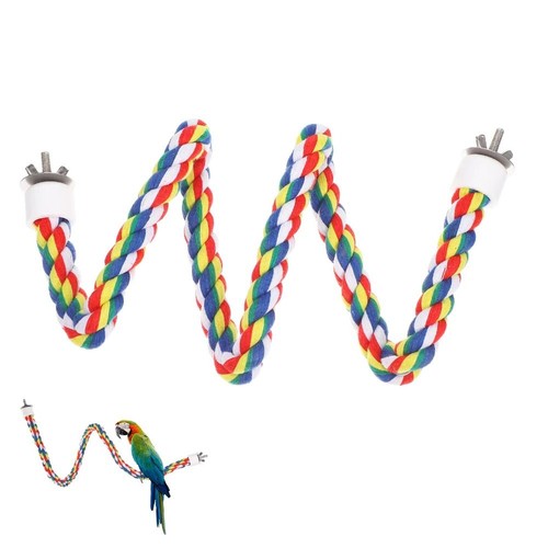 Colorful bird perch - colorful,