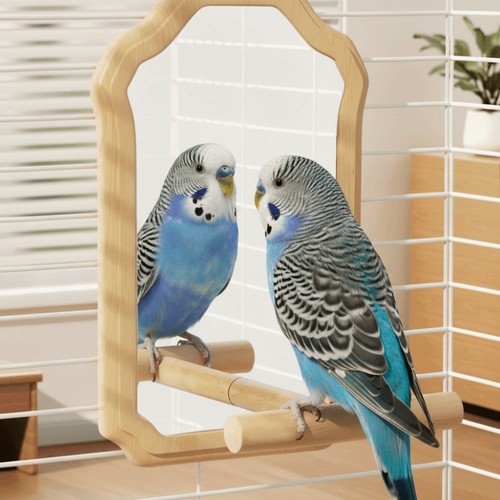 Wooden bird mirror - wooden, toy