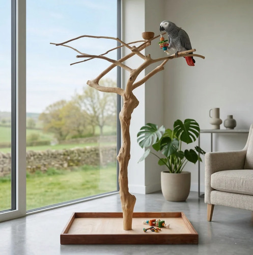 Large natural java - natural, parrot
