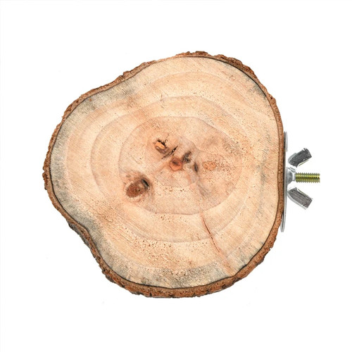 Round wooden squirrel parrot - round,