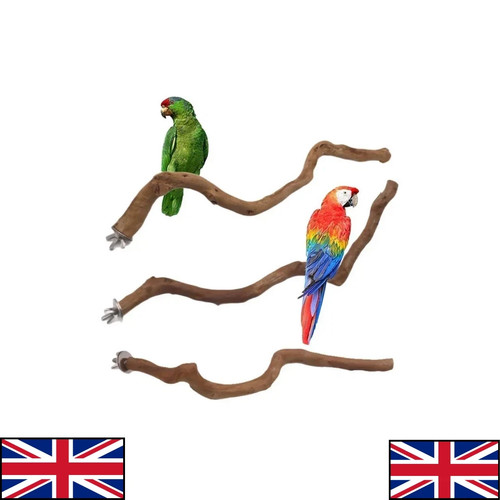 Parrot stand natural bird - parrot,