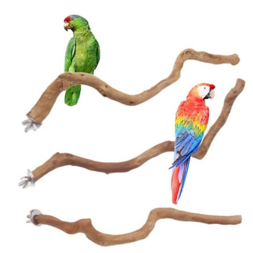 Parrot perch climbing branches - perch,
