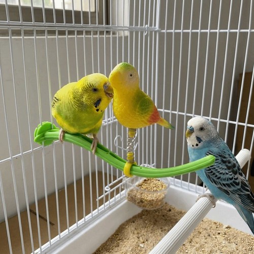 Parrot perch stand - stand, tree