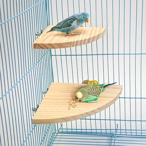 Parrot wood perch stand - perch,