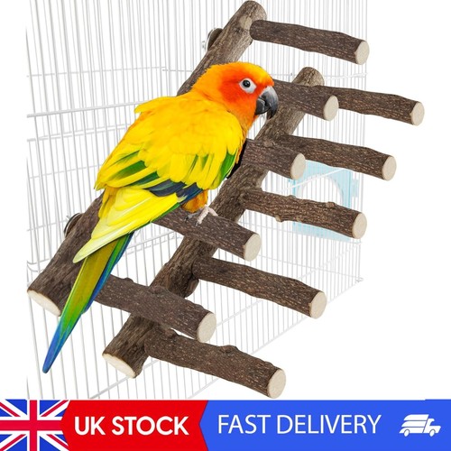Pcs wooden bird - pcs,