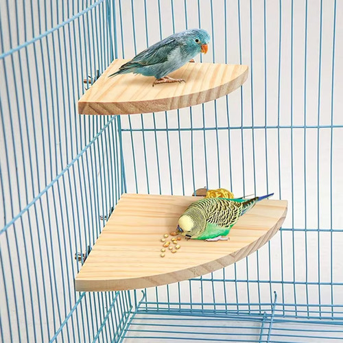 Parrot bird wooden - parrot,