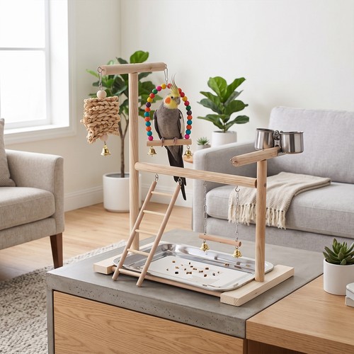 Wooden parrot play - play, perch