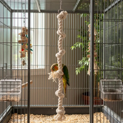 Parrot climbing cotton - cotton, rope