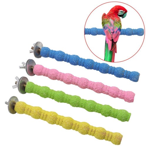 1xtrimming perch beak and claw - and,