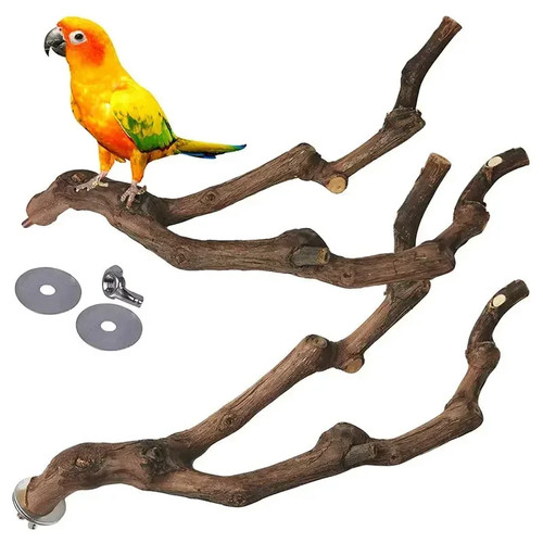 Wooden parrot bird - bird, tree