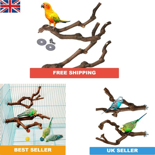 Parrot stand grape wood - stand,