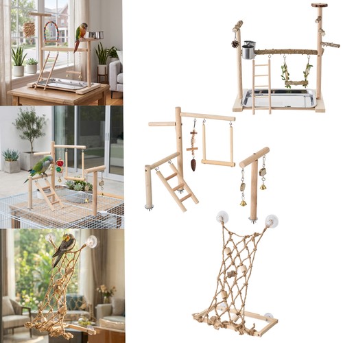 Parrot playstand bird - playstand,