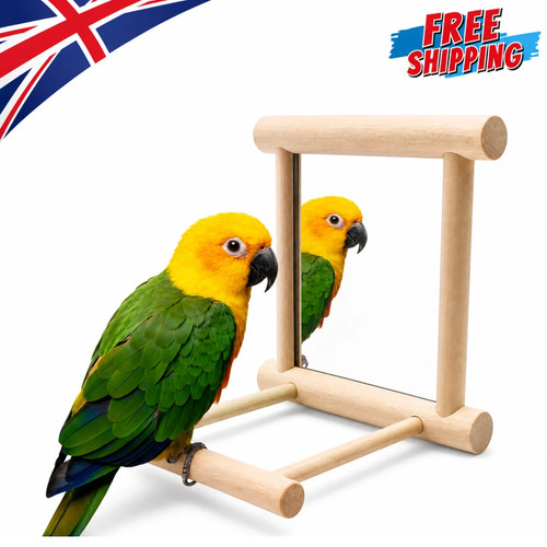 Wooden bird mirror interactive - bird,
