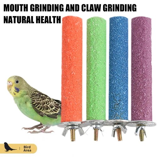 Bird perch beak claw - bird, –